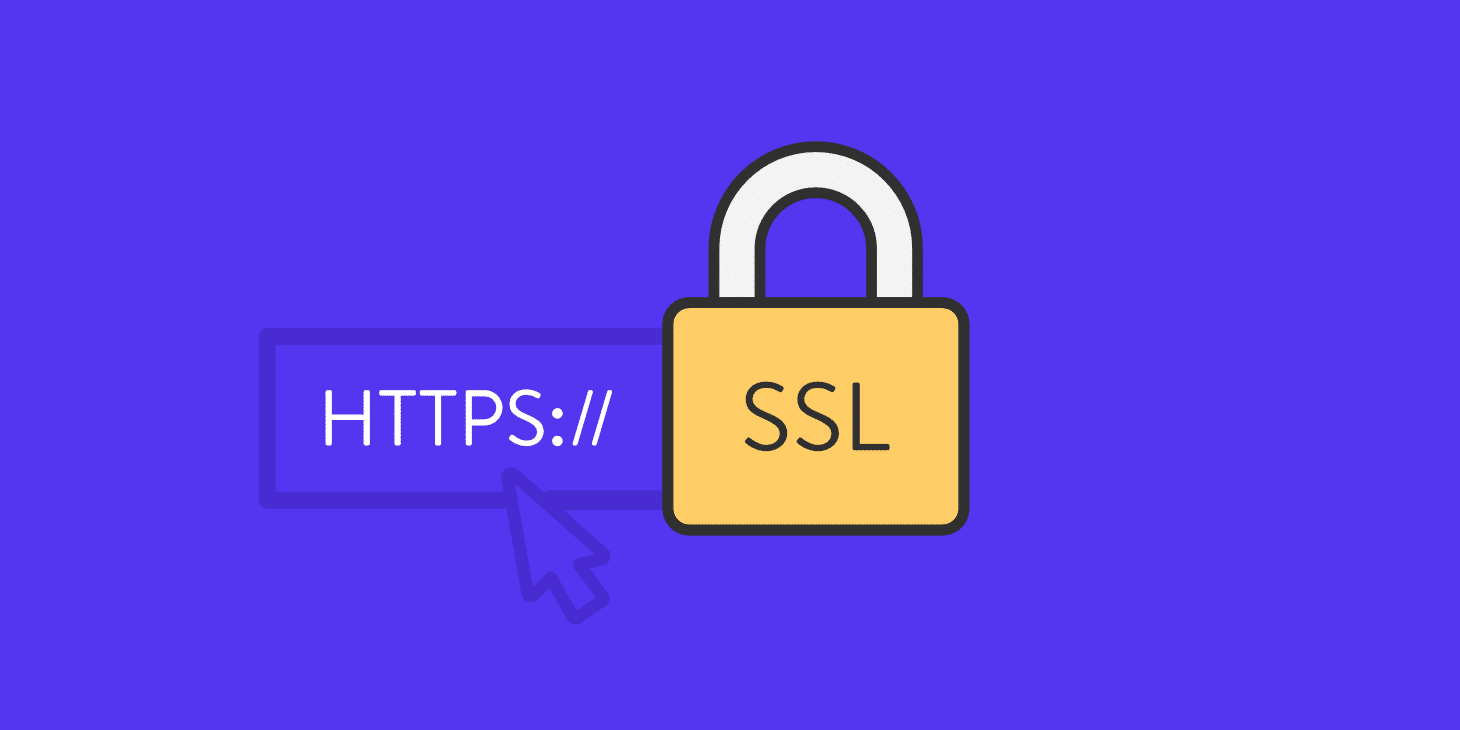 SSL 完全（严格）